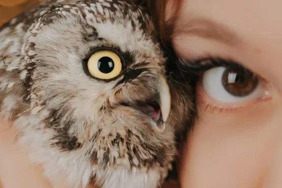 Paradise Kazino Atbalsts